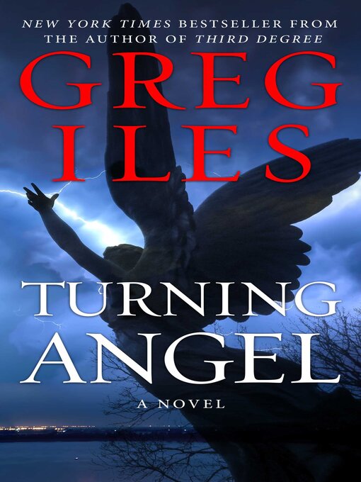 Cover image for Turning Angel